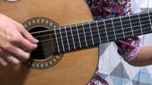 The Last of Us - Main Theme (Fingerstyle Guitar Cover) / Одни из Нас - Основная тема