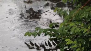 Моцарт  Музыка дождя Mozart  Music of the Rain.super melodiya