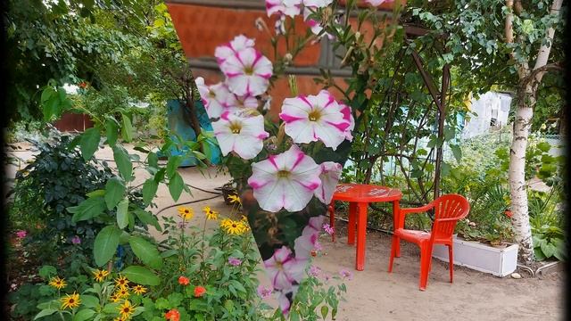 Наша дача. 13.07.22 смотреть онлайн