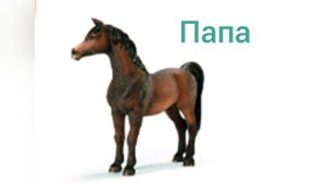 Топ 5 семей лошадей SCHLEICH|семьи лошадей schleich 2 часть🐴😁💖