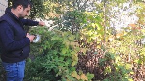 БЛЮДО С БАКЛАЖАНАМИ И ПЕРЦЕМ!  Азербайджанская Кухня Деревенская Кухня  Рецепты