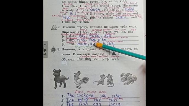 2 класс. Английский язык.Рабочая тетрадь. Биболетова. Lesson 59. Страница 64. С комментированием