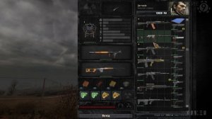 15 СОВЕТОВ по ВЫЖИВАНИЮ в STALKER GUNSLINGER mod