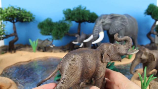 World Elephant Day - International Elephant Day 13+ смотреть онлайн