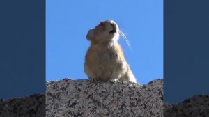 С Пятницей, ДРУЗЬЯ!