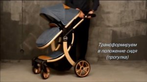 Детская коляска Aimile (Эмили) 2 в 1