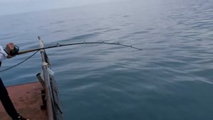 Женская рыбалка в Баренцевом море.