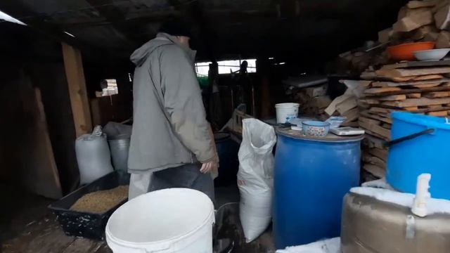 КОРМ ДЛЯ СВИНЕЙ. КОМБИКОРМ СВОИМИ РУКАМИ.