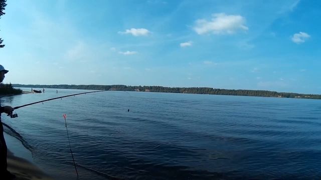 Лучший Отдых и Рыбалка на Волге. Ловля На Фидер. 18+