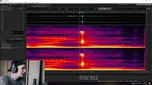 КАК УБРАТЬ ЛИШНИЙ ЗВУК В ЗАПИСИ | Adobe audition |