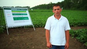 Результаты опытов защиты сахарной свёклы от сорняков
