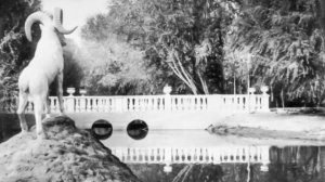 Кентау. Как это было...