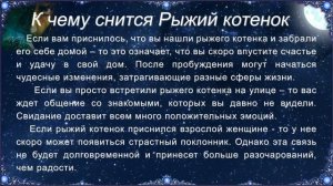 К чему снится Рыжий котенок (Сонник)