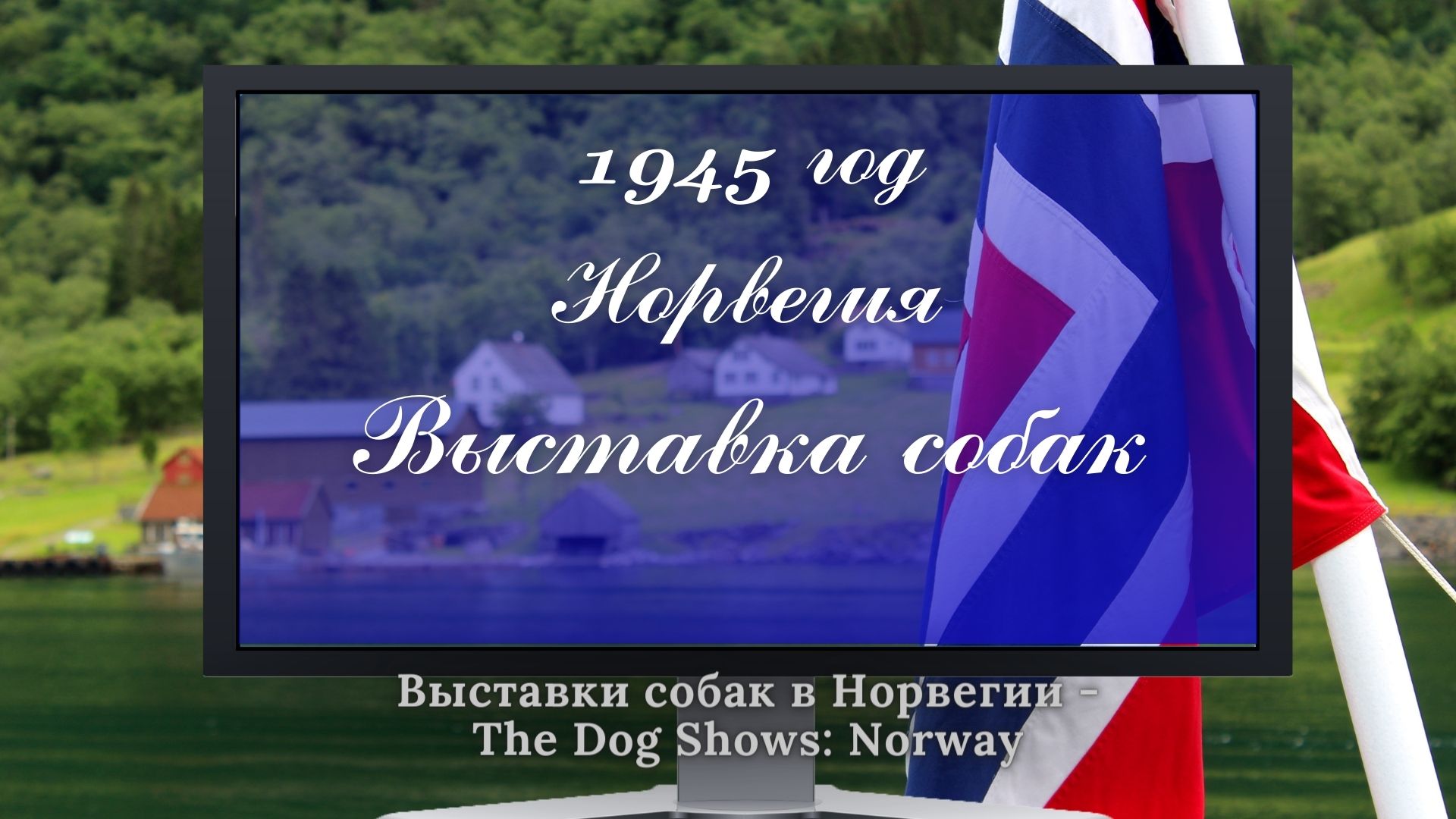 1945г. Выставка собак в Норвегии.
