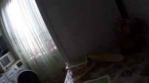 Реклама доширака