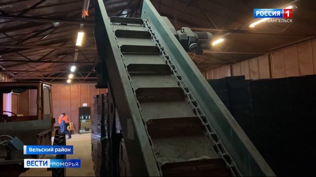 ЕЛЦ готов принять у жителей Поморья шишки ели и сосны смотреть онлайн