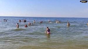 Отдых в станице Голубицкая, пляж, Азовское море