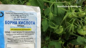 БОРНАЯ КИСЛОТА, ЭПИН, другие препараты для ЛУЧШЕГО ЗАВЯЗЫВАНИЕ ПЛОДОВ.. ОТ ОПАДЕНИЯ СОЦВЕТИЙ .
