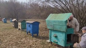 НОВАЯ МИССИЯ КАБАНА ПАНТАЛОНА С ЧЕРНИЧНОГО ХУТОРА.