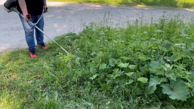 Мощная коса для бурьяна! Бензокоса Caiman WX42 #обзор #триммеры #косы#газонокосилка#gardening смотреть онлайн