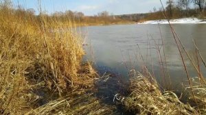 Река Бердь