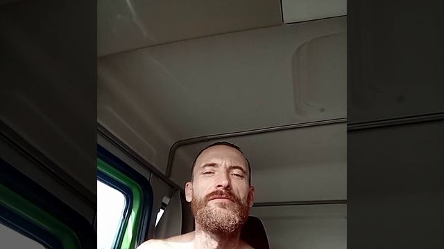 медведь ?