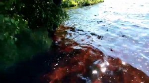 Озеро Ламна 2020