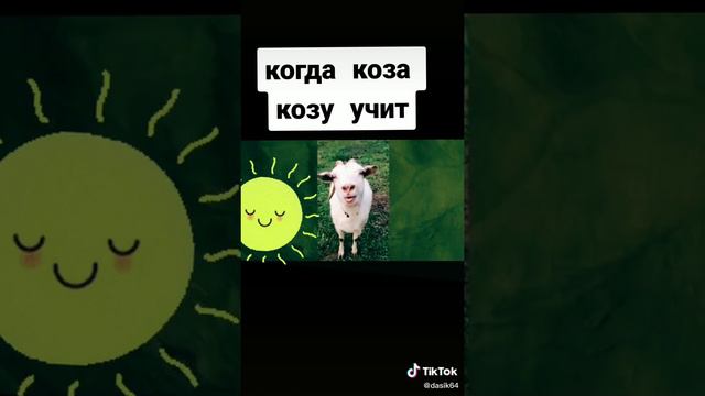 Когда коза кузу учит --- Bogdan Saenko---