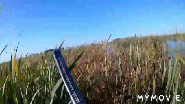 Выросла достойная смена, охота на водоплавающую.иж-43. Жизнь в Сибири. смотреть онлайн