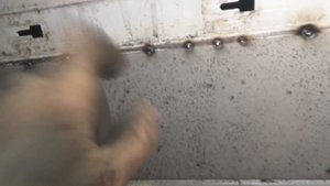 Кузовной ремонт Mercedes Vito 638. Восстановление водительской двери.