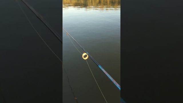 Эхолот Lucky Fihs Finder.Sounder FF Эхолот Лаки самый простой и понятный смотреть онлайн