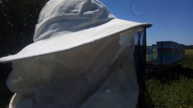 Самодельные пчеловодные прицепы ,выезд на гречку смотреть онлайн