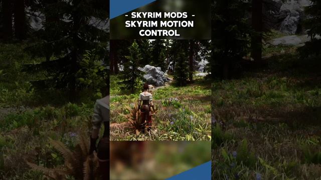 This Mod Makes Skyrim Movement Feel A LOT More Immersive