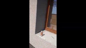 Красивый Фасад под Кварцевой Крошкой