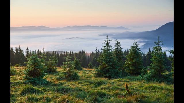 Ламповая музыка