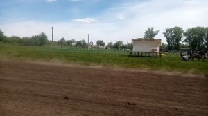 Скачки на лошадях в Курске
