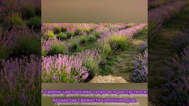 Зацвела сирень в саду - Музыка Виктора Хоборова, слова Николая Тарасова. смотреть онлайн