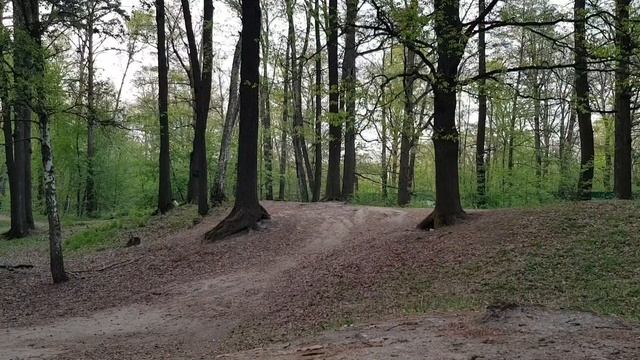 Тимирязевский лес. Kingsong 18l смотреть онлайн