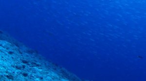 JEAN MICHEL JARRE - EN ATTENDANT COUSTEAU    / Full /