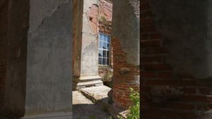 Усадьба графа П. В. Завадовского #брянскаяобласть #ляличи