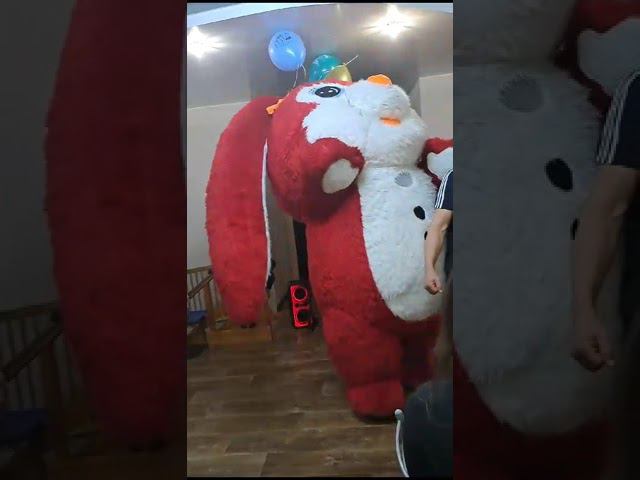 Зайка) смотреть онлайн