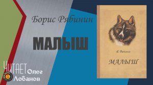 Борис Рябинин. Малыш. Из сборника Рассказы о верном друге. Аудиокнига.