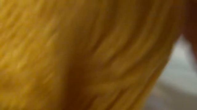 ЗАКРУГЛЕНИЕ ГОРЛОВИНЫ СПИЦАМИ ПУТЕМ ЗАКРЫТИЯ ПЕТЕЛЬ. смотреть онлайн