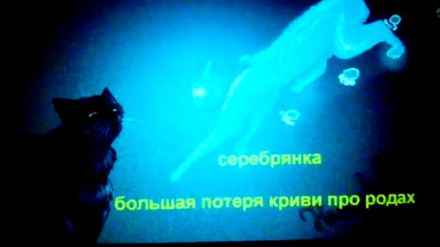 Смерти коты воители смотреть онлайн