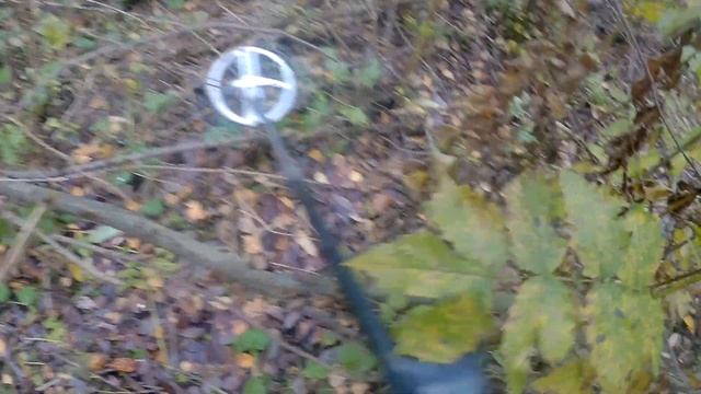 КОП в лесу у МКАД . Поиск с металлоискателем XP в подмосковье. смотреть онлайн