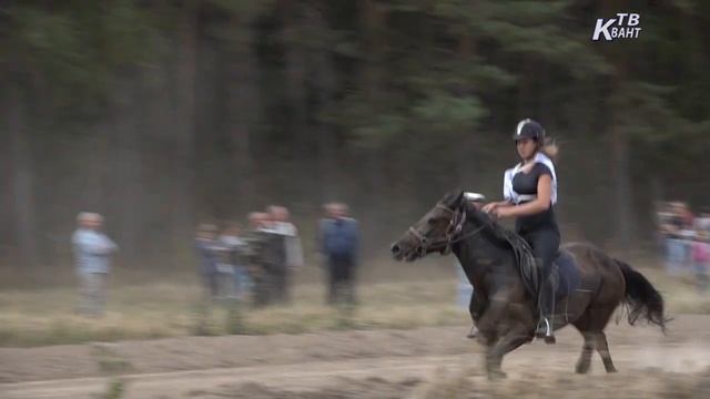 Соревнования по конным видам спорта. Зарайск смотреть онлайн