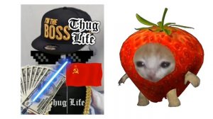 Продолжение про котов фруктов (оригинал Kitty_Way)