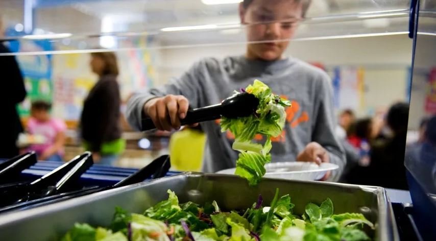 В британских школах исчезнет горячая еда или сократится учебная неделя