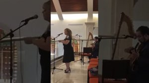 THE BEST HARP SERENADE - Ave María