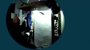 Скоростная боксёрская груша Everlast на платформе